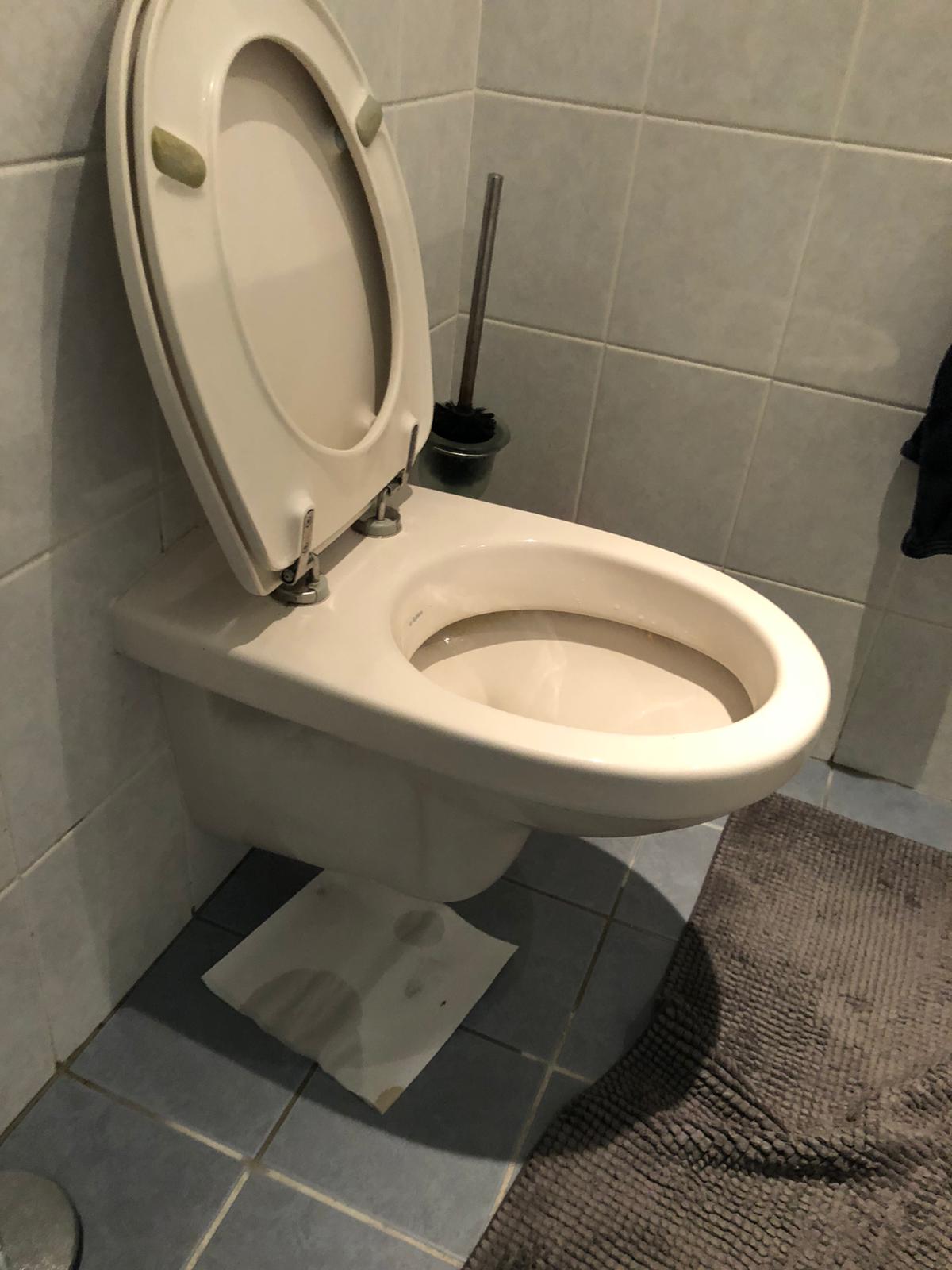 hangtoilet Zevenaar